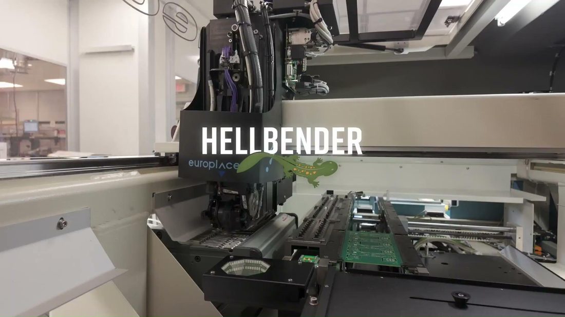 Hellbender